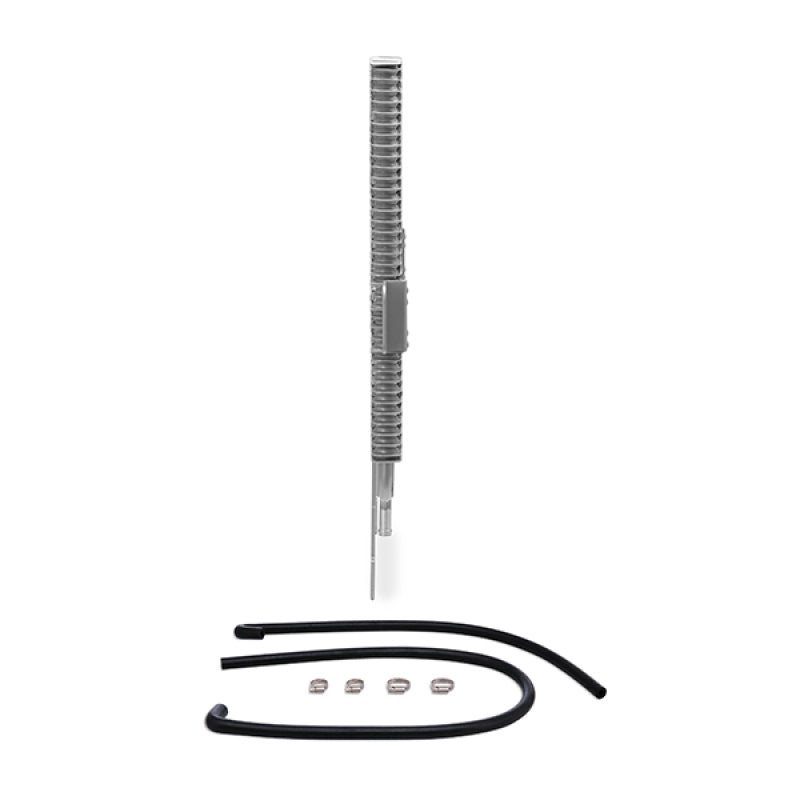 Photo - Primary